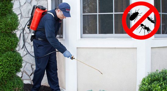 Niksar Karınca İlaçlama böcek ilaçlama ve haşere kontrolü — ilaclama-tr.com